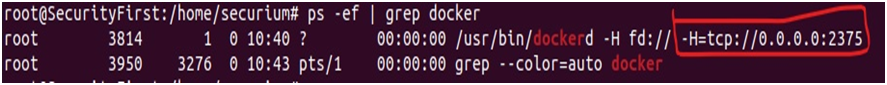Abusing Docker Remote API