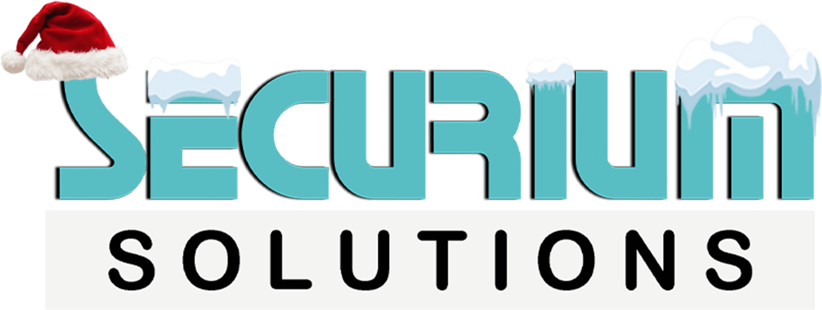 secuirum solutions