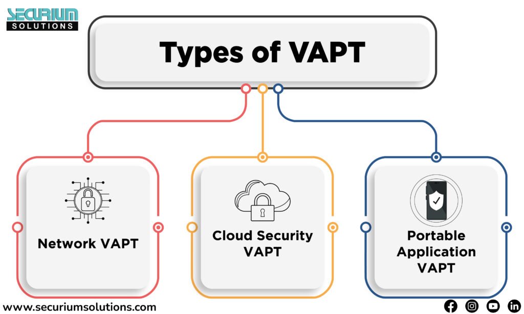 Type of VAPT