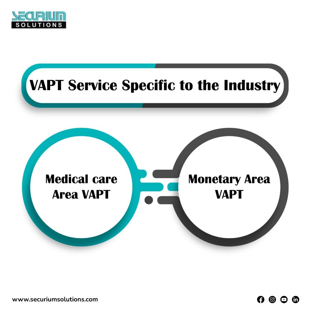 VAPT Service Specific to the Industry